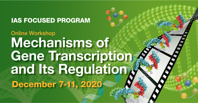 IAS Focused Program on Mechanisms of Gene Transcription and Its Regulation 